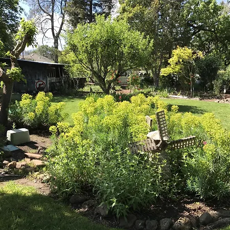 Trailside Inn Bed&Breakfast